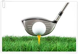 드라이버 샤프트 강도 선택