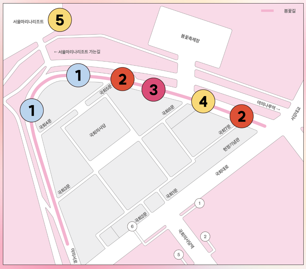 여의도 봄꽃축제 봄꽃거리