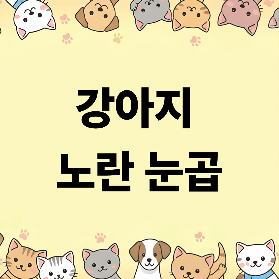 강아지 노란 눈곱