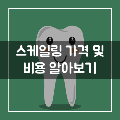 스케일링-비용-가격-비교-사이트