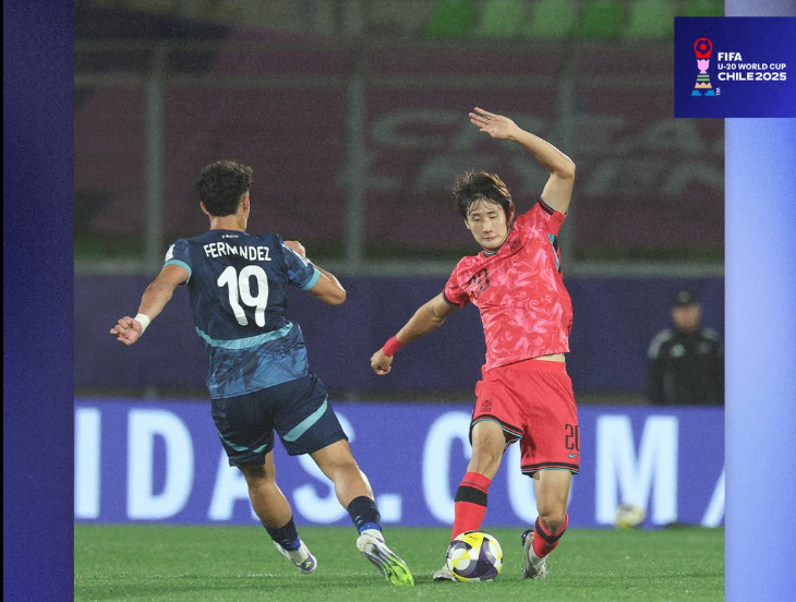 U20 월드컵