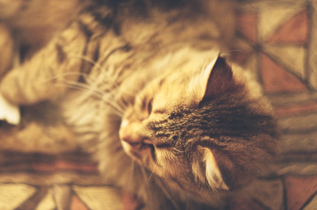 Comfort