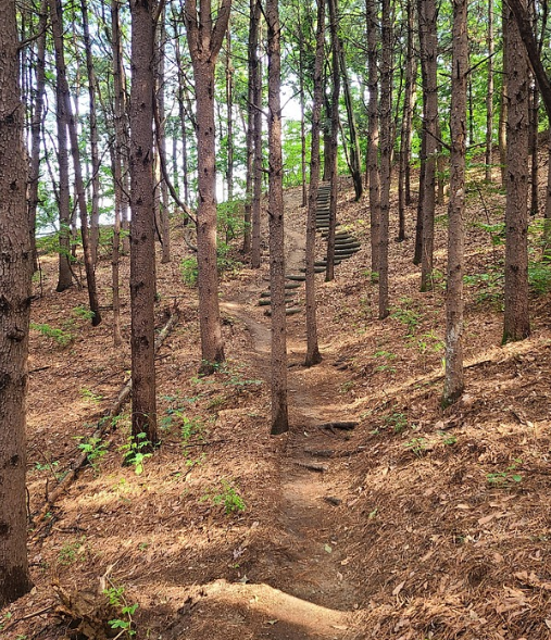 성주산의 자연경관 사진