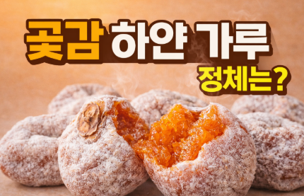 곶감 보관법
