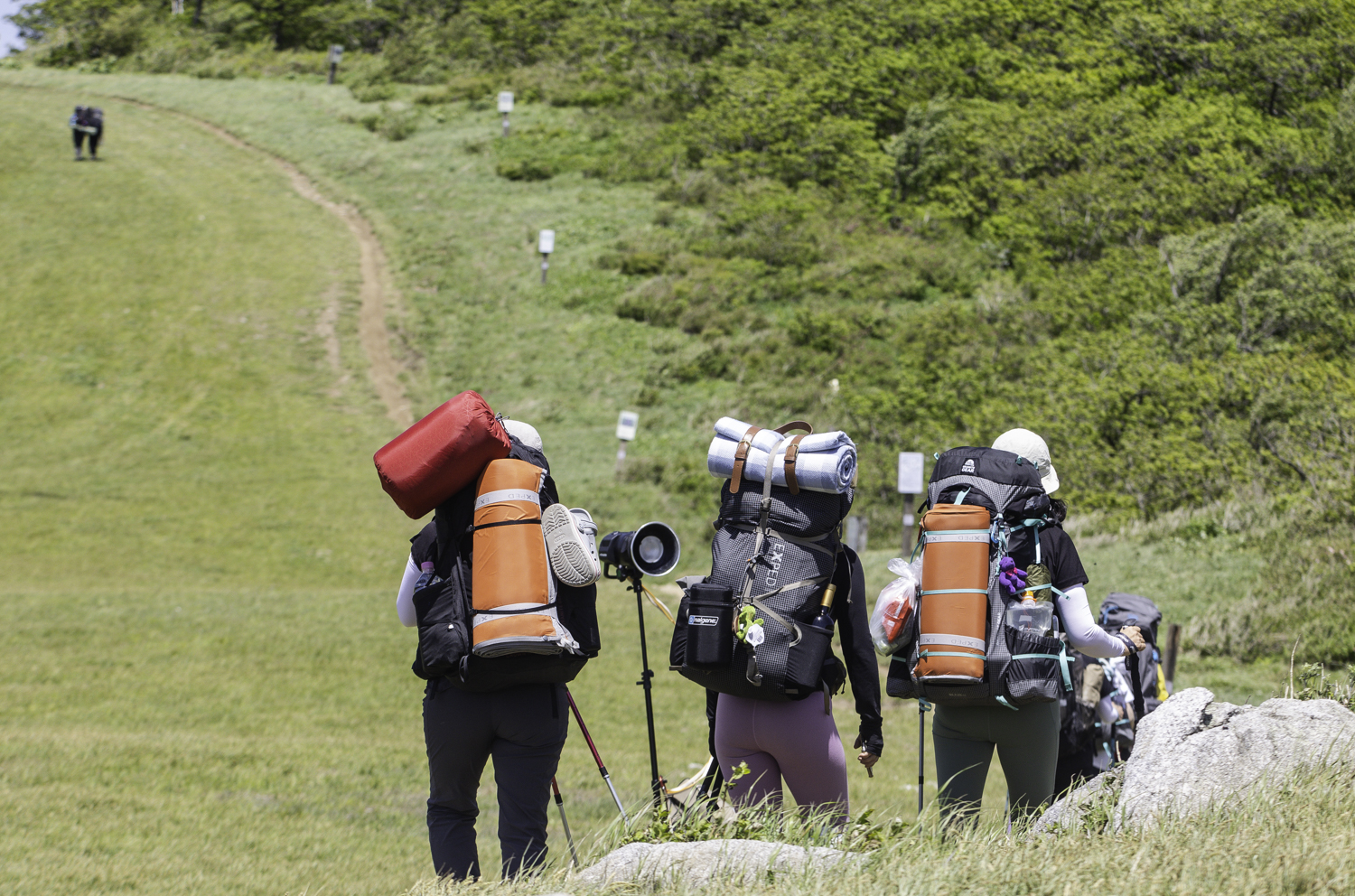 tnf100korea tnf100gangwon 노스페이스 트레일러닝대회 선자령 트레일러닝
