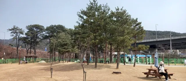 안양 반려견 놀이터