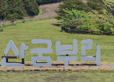 10월 제주도 가볼 만한 곳