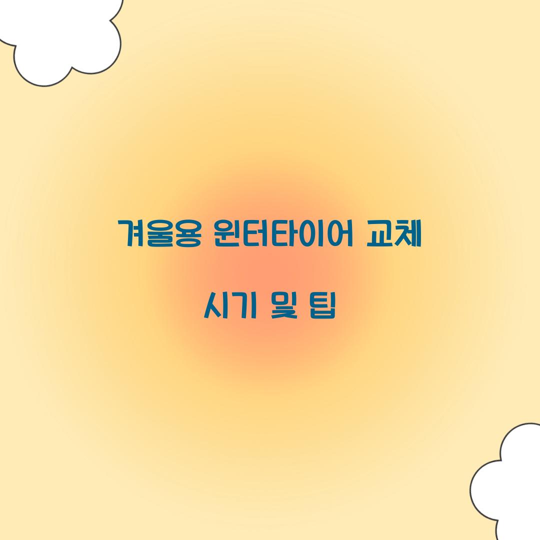 겨울용 윈터타이어 교체