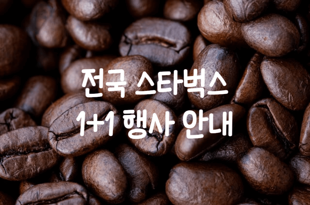 스타벅스-1+1