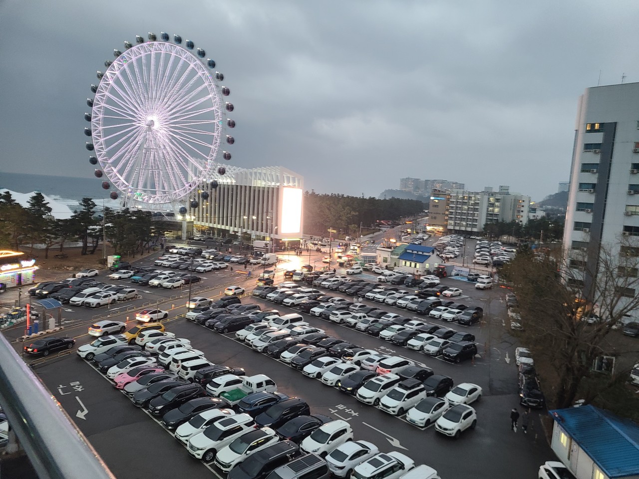 속초 맛집 추천 베스트10