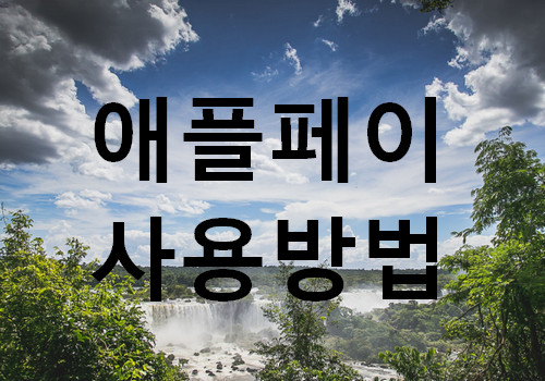 애플페이