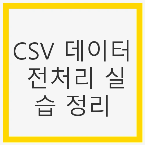 CSV 데이터 전처리