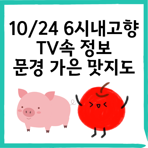 10월 24일 &lsquo;6시내고향&rsquo; 문경 가은 맛지도｜가은아자개장터&middot;연탄빵&middot;약돌돼지&middot;버섯전골&middot;사과튀김 총정리