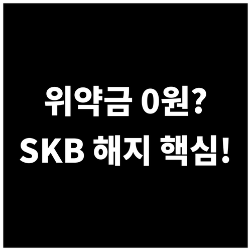 SKB 인터넷 약정 해지 시 위약금 ..