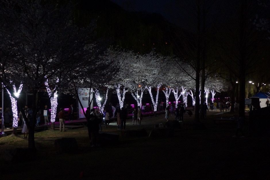 대덕물빛축제 기본일정과 프로그램 소개