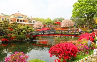 베어트리파크 철쭉제