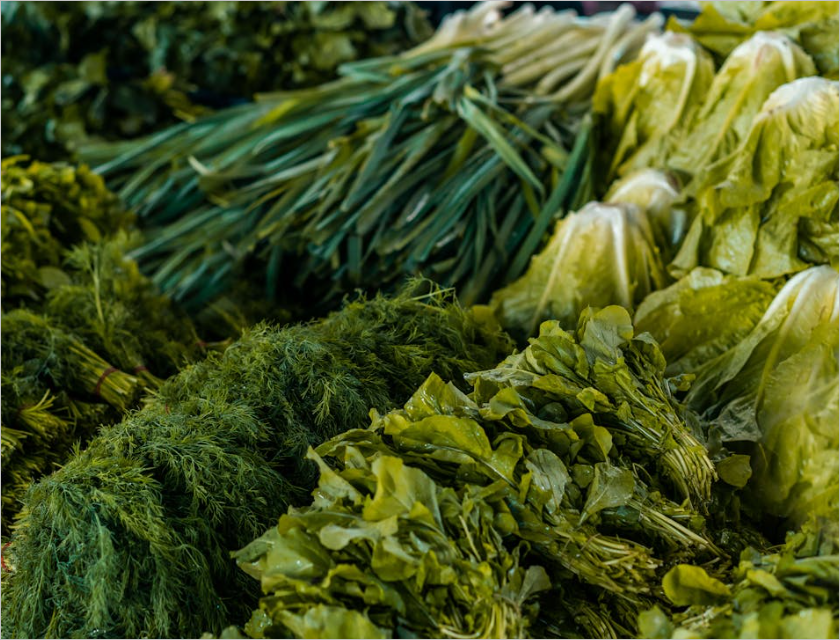 아르기닌 효능! 건강을 위한 필수 아미노산의 모든 것 