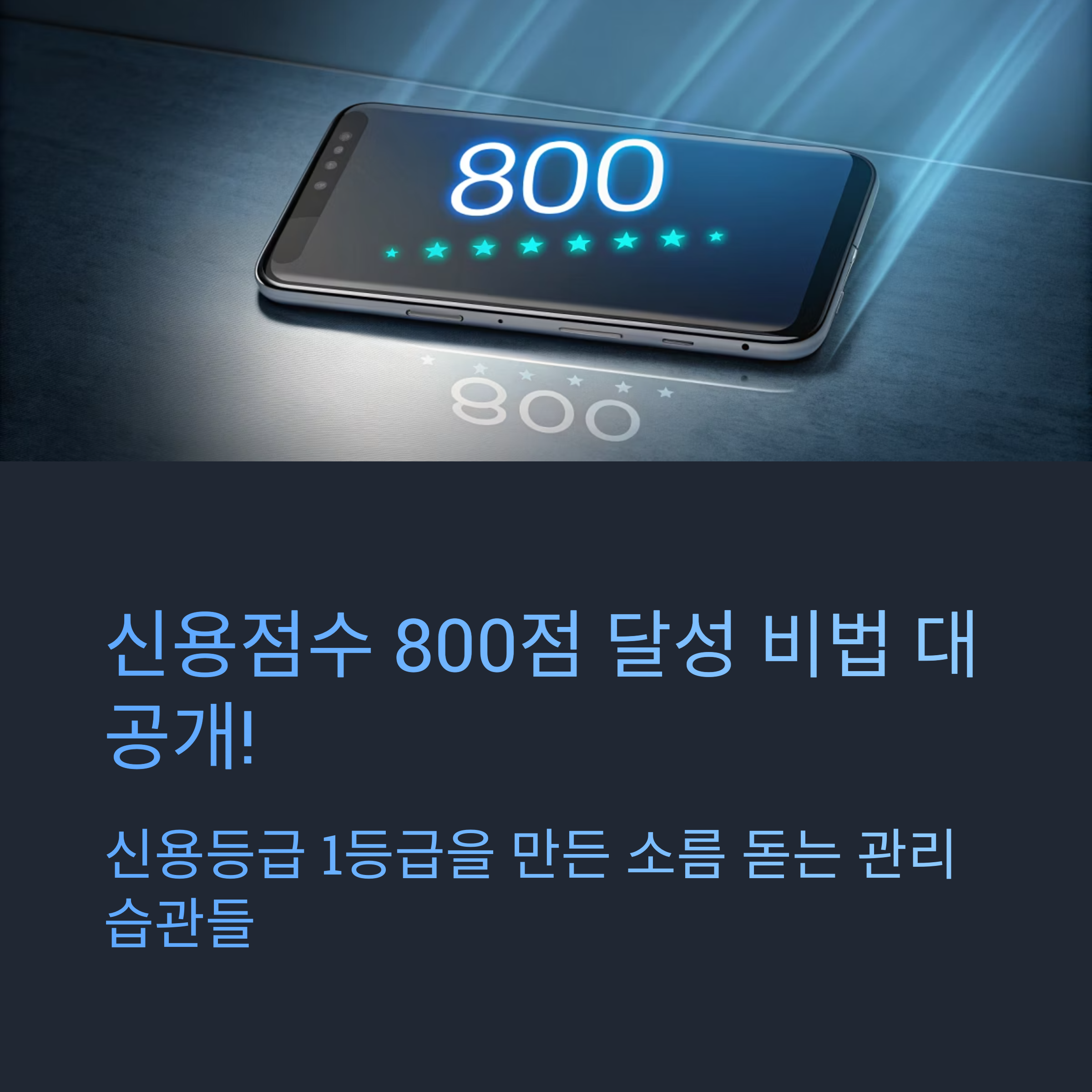 신용점수 800점