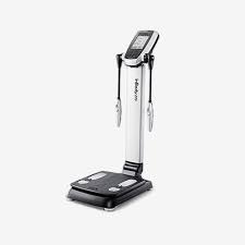 체지방률 정상범위