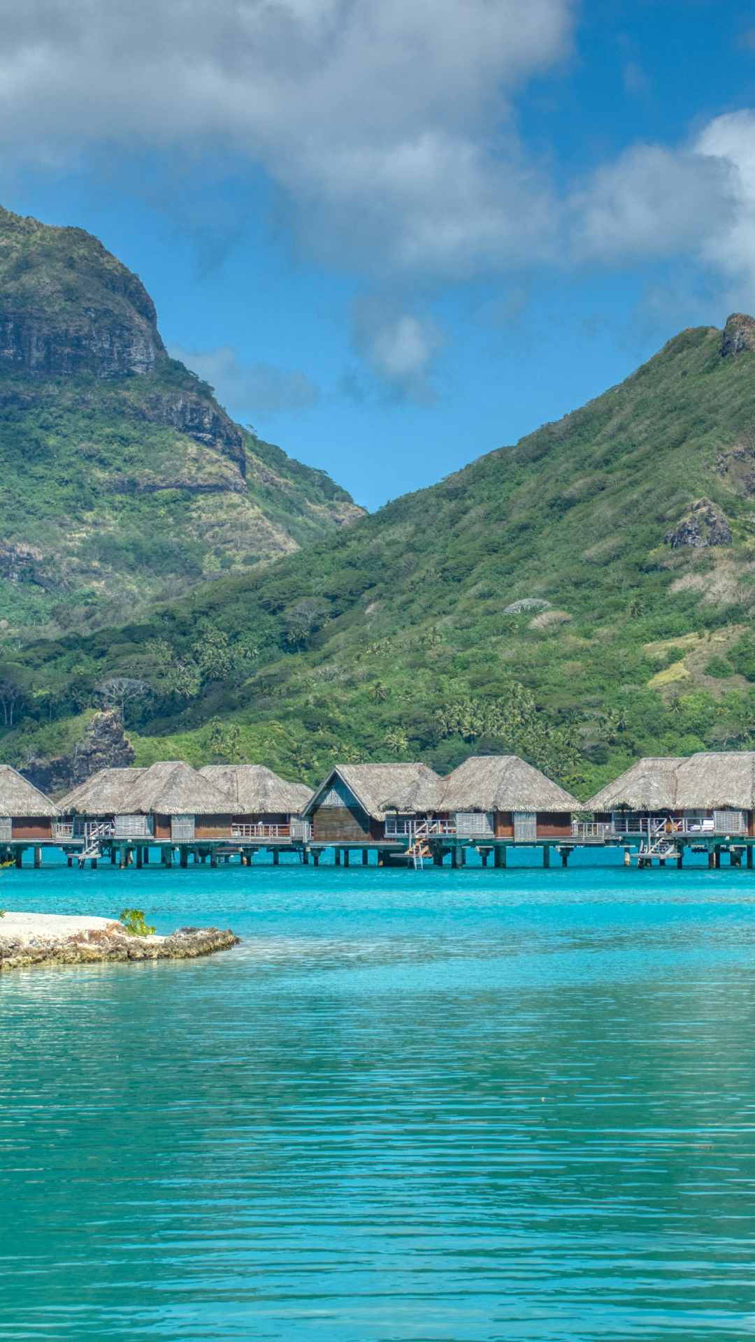 iPhone Wallpaper