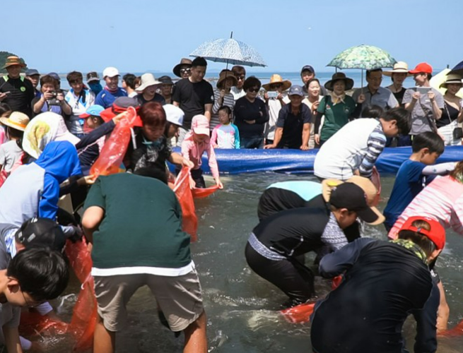 무창포 쭈꾸미 도다리축제 행사 