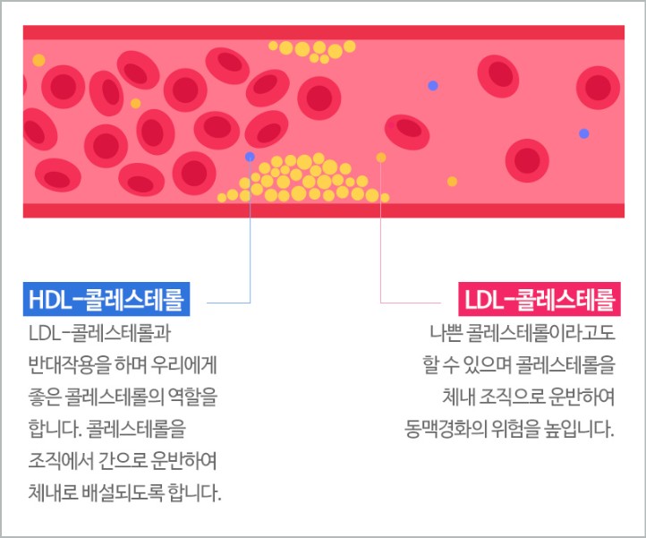 키토올리고당 효능 부작용 먹는 방법 보관법 분말 성분 물엿차이