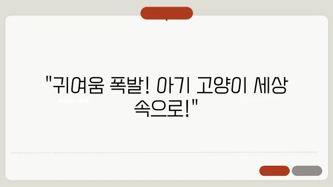 아기 고양이 월페이퍼