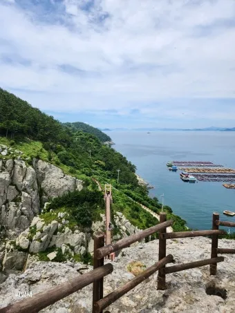 통영 연화도 수국 꽃길 산책 코스와 최적 관람 시기_13