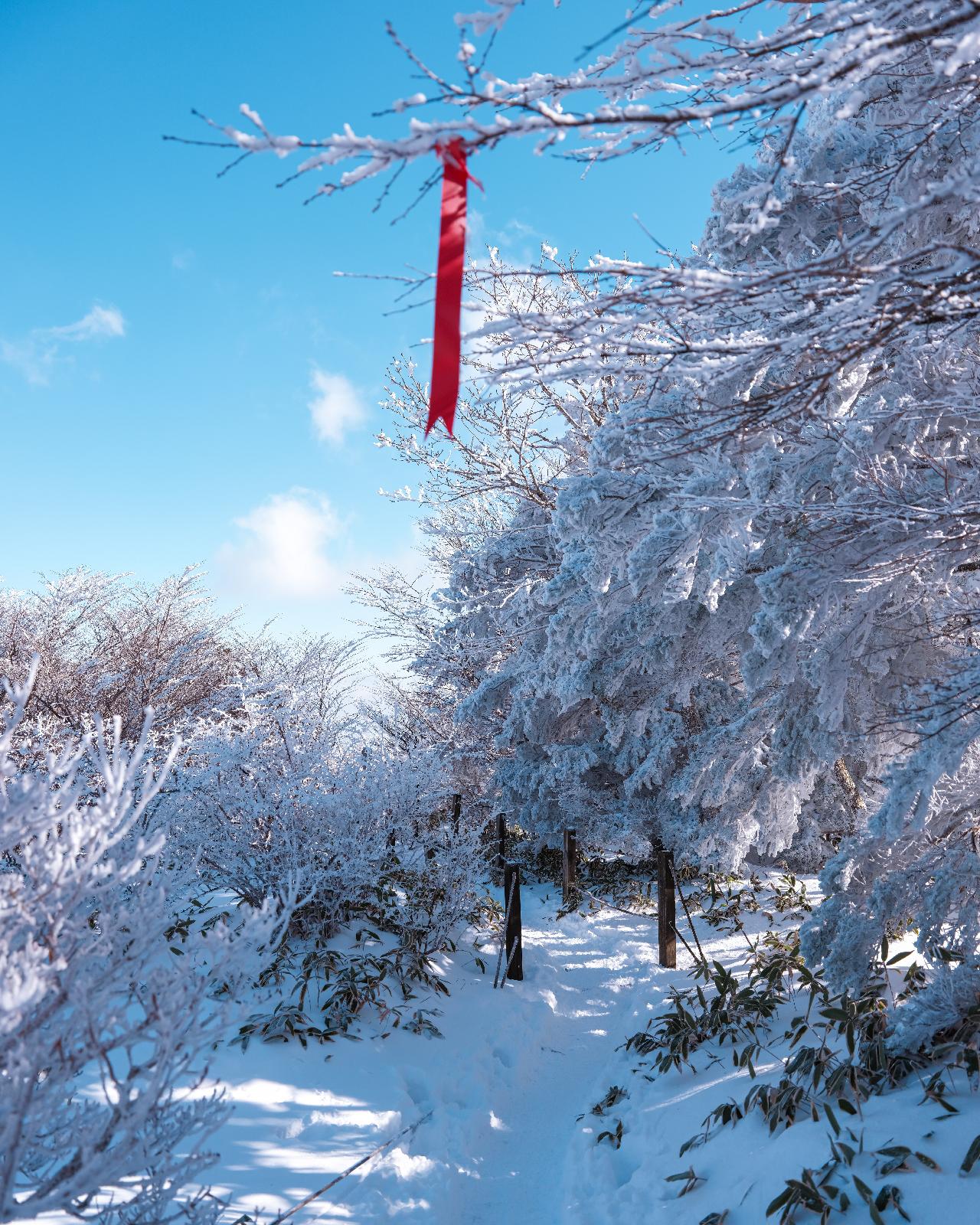 제주 겨울 여행 필수 추천 코스 놓치지 마세요!