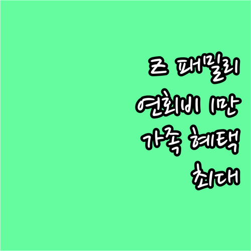 현대카드 Z 패밀리: 연회비 1만원,..