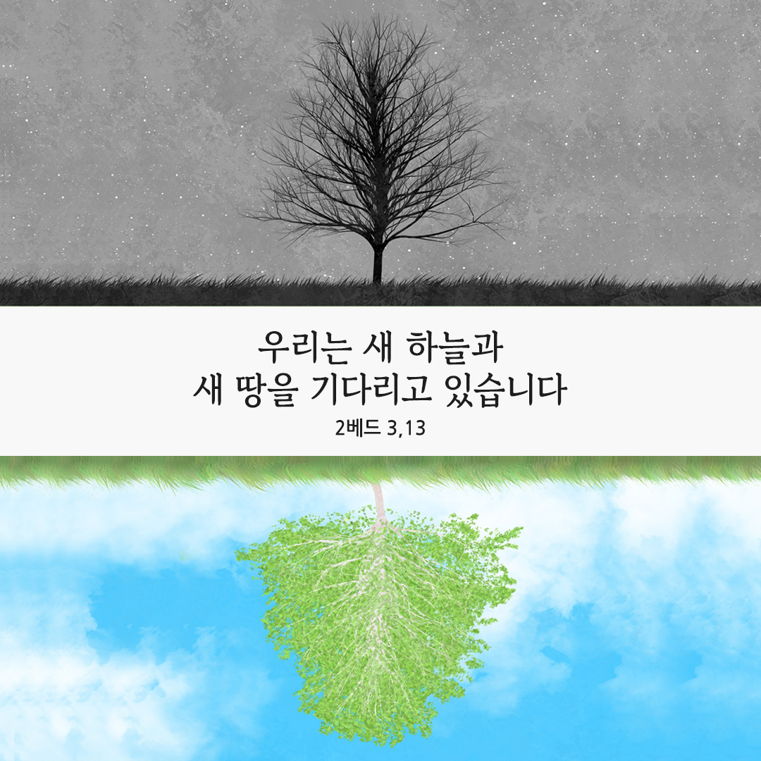 우리는 새 하늘과 새 땅을 기다리고 있습니다. (2 베드 3,13) 성경말씀카드 베드로2서 성경구절 이미지 다운로드