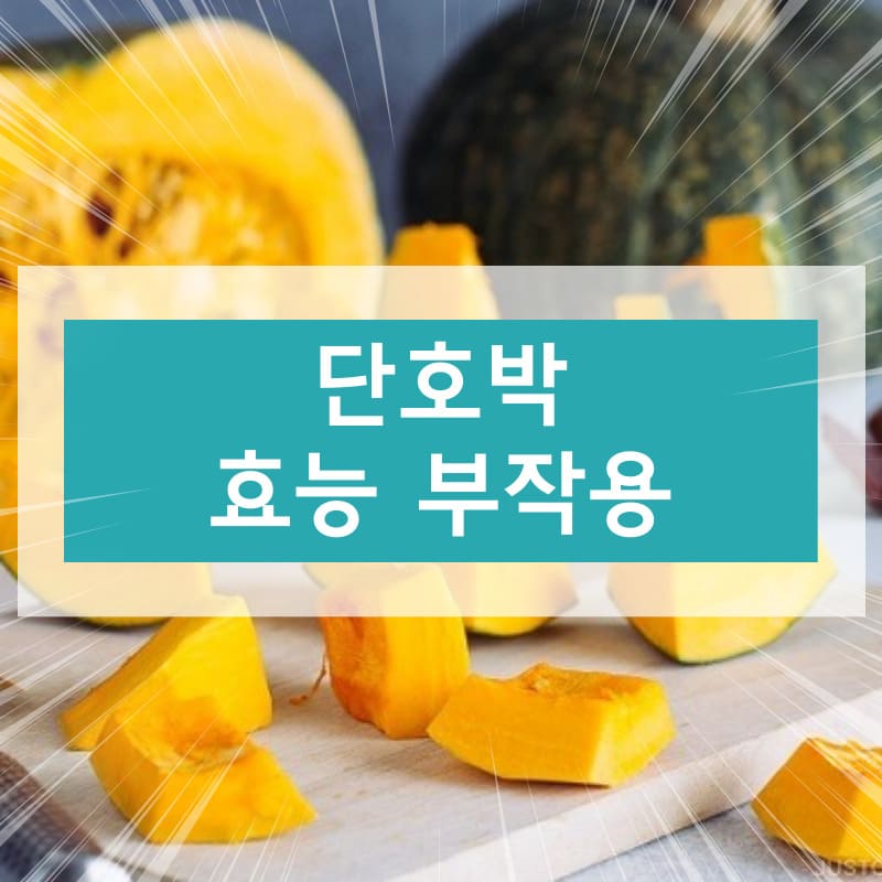 단호박 효능 부작용