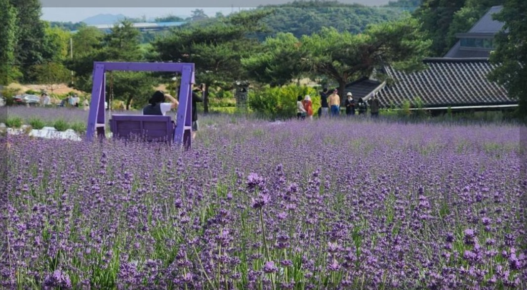 6월 국내 여행지 추천