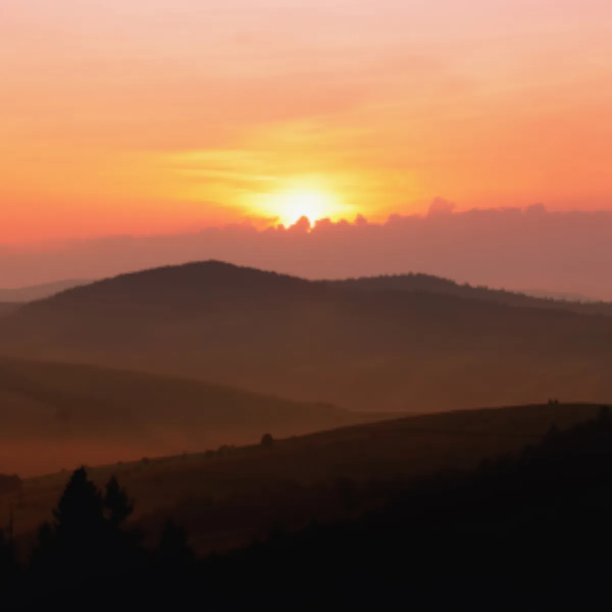 서울 새해 일출 명소