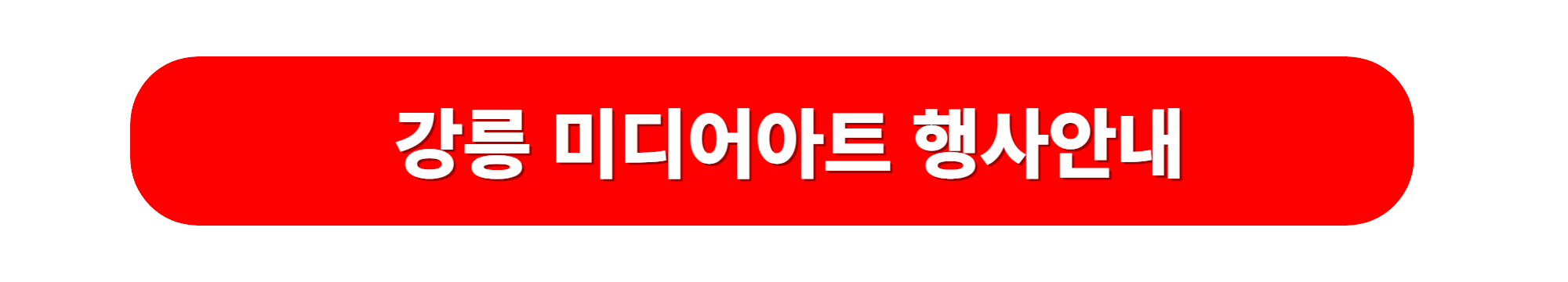 강릉 미디어아트 축제