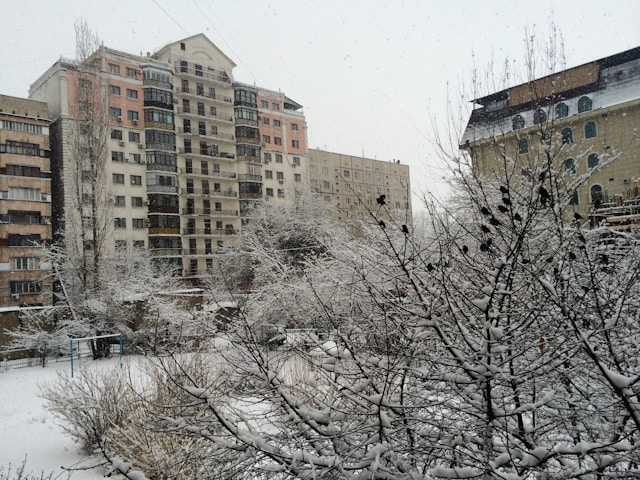 겨울철 워셔액 추천 어는점 체크 필수 가이드