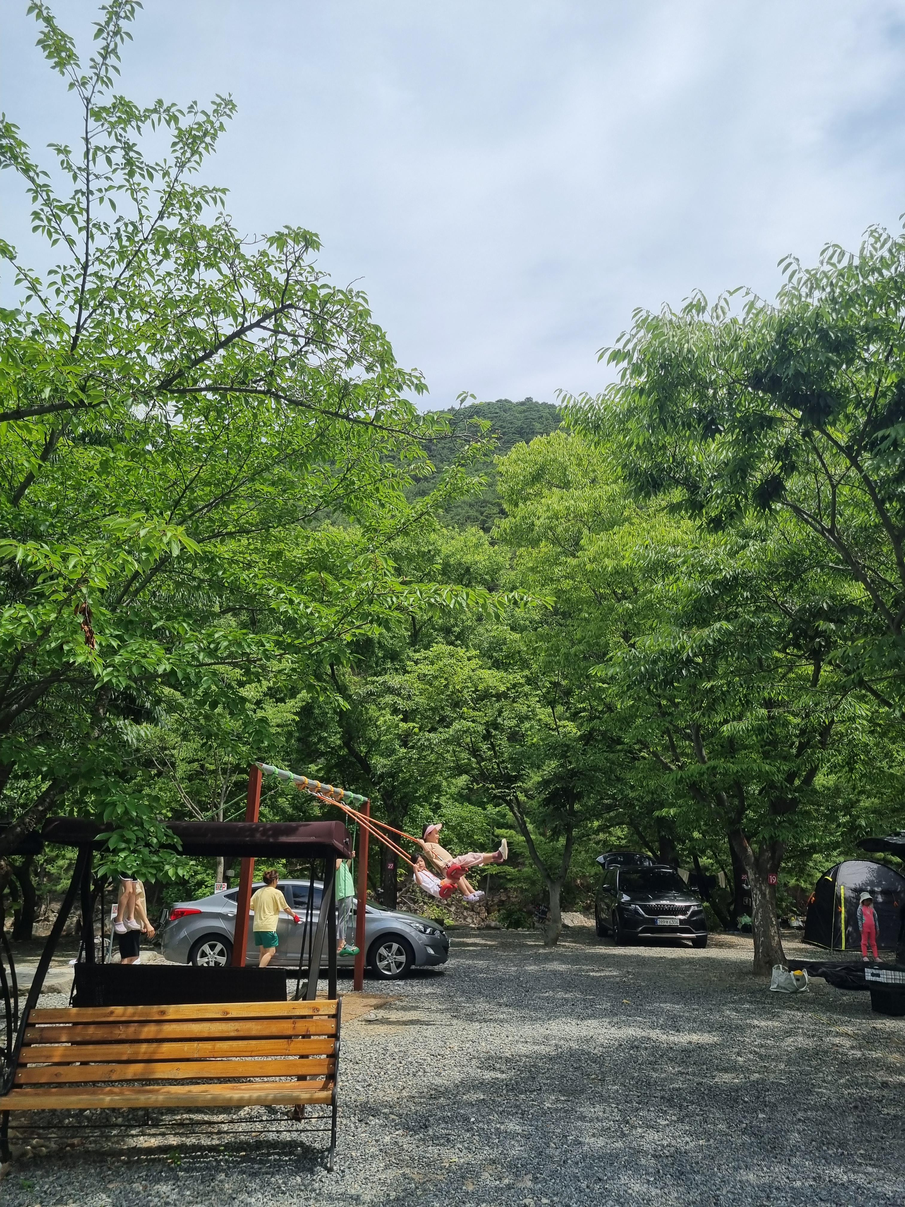 둥지펜션캠핑장