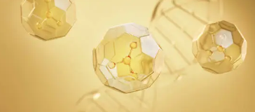 필수 아미노산의 정의, 종류, 효능 총 정리 (2025 최신)