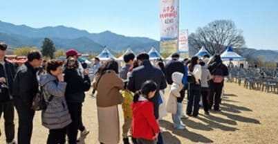 구례 산수유축제