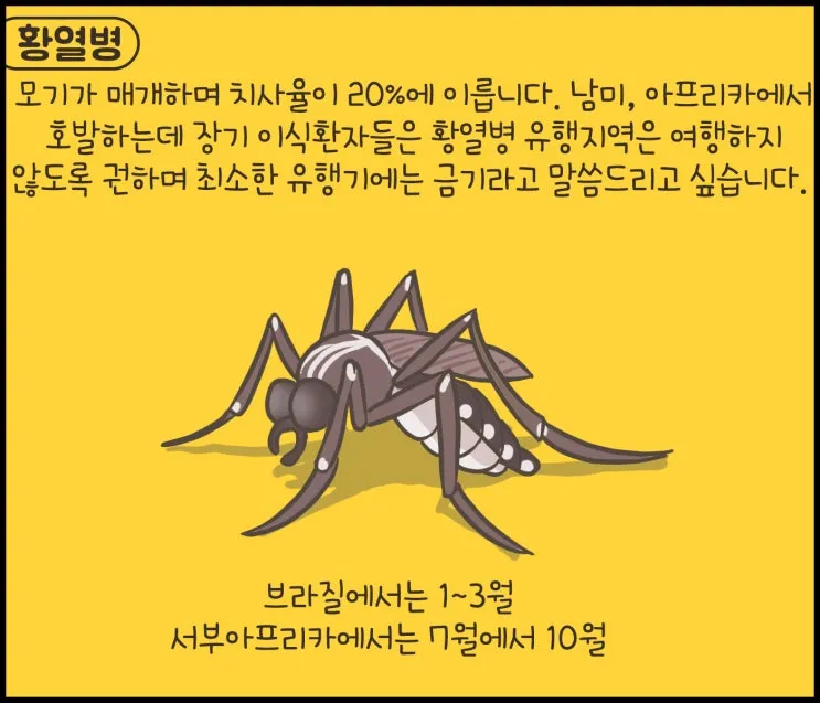 남미 황열병 예방접종 후기 경험과 준비사항_6