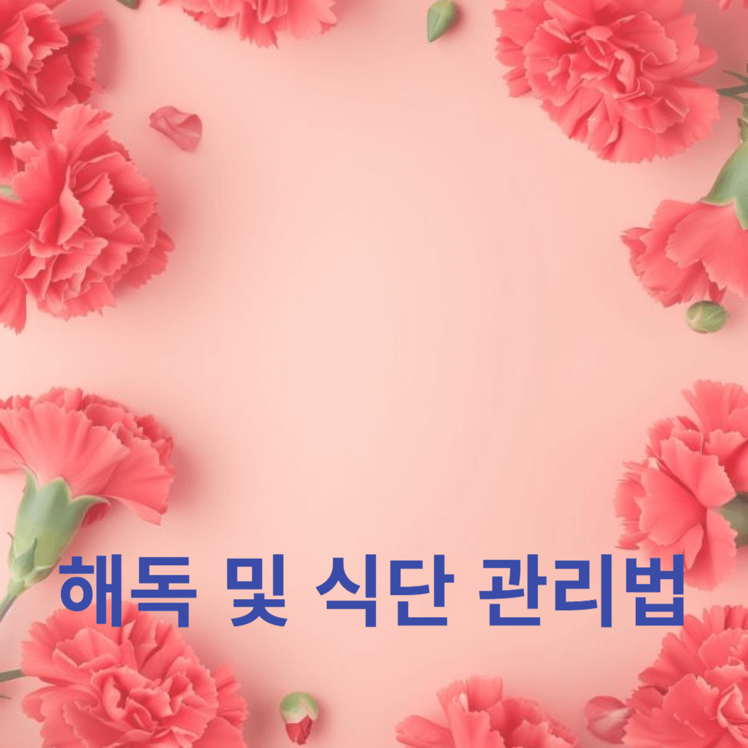 건강한 간을 위한 해독 및 식단 관리법