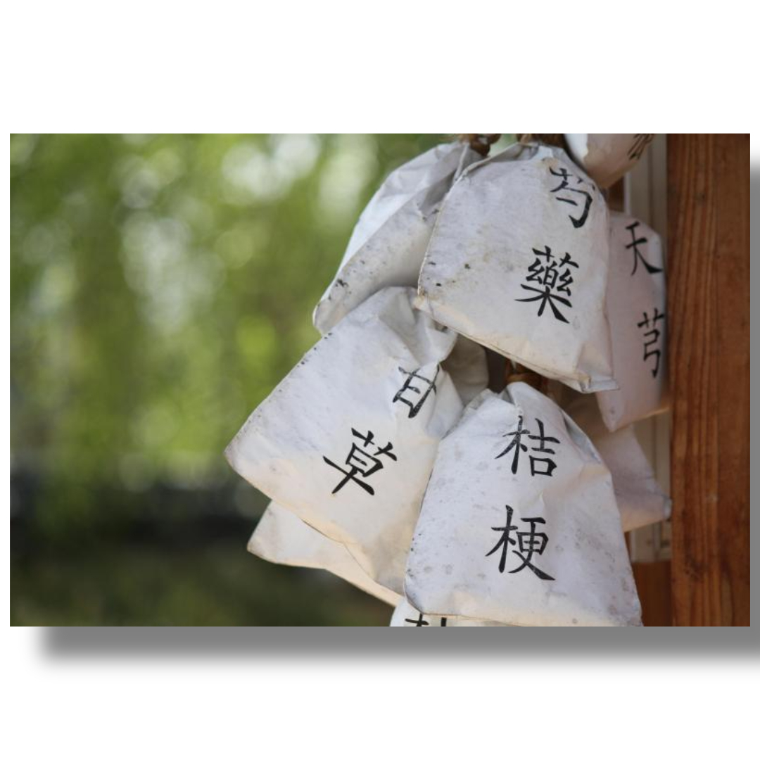 차가버섯과 관련된 사진입니다.