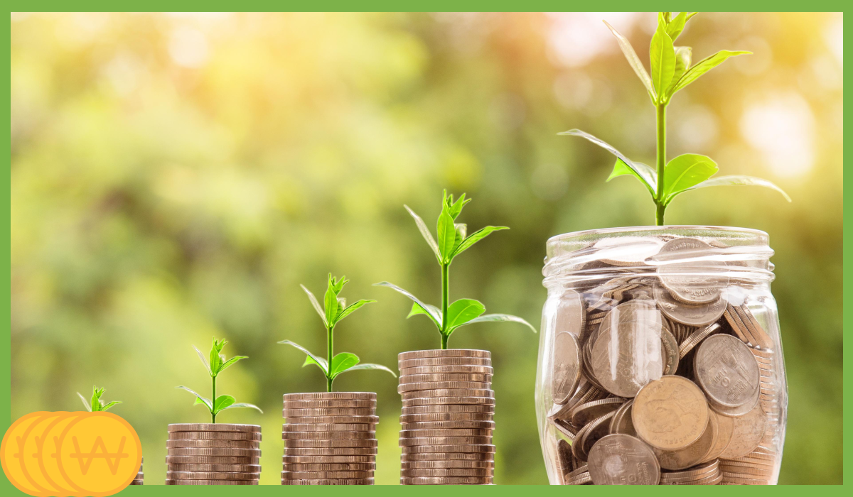 K패스 교통카드