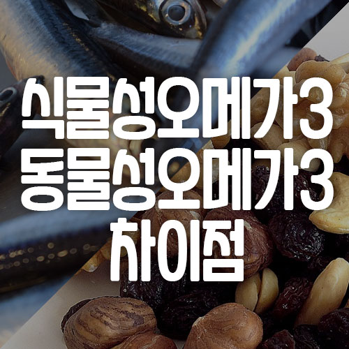 식물성오메가3 동물성오메가3