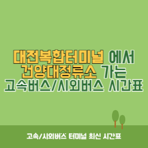 대전복합터미널에서 건양대정류소(논산시) 가는 시외버스 시간표 최신정보