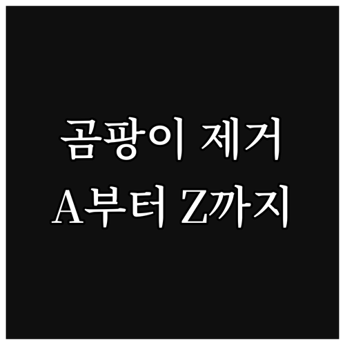 에어컨 곰팡이 완벽 제거 A to Z