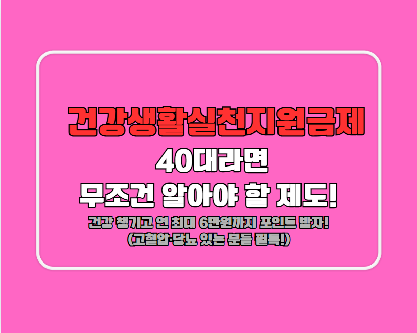 건강생활실천지원금제