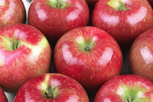 신장에좋은과일18