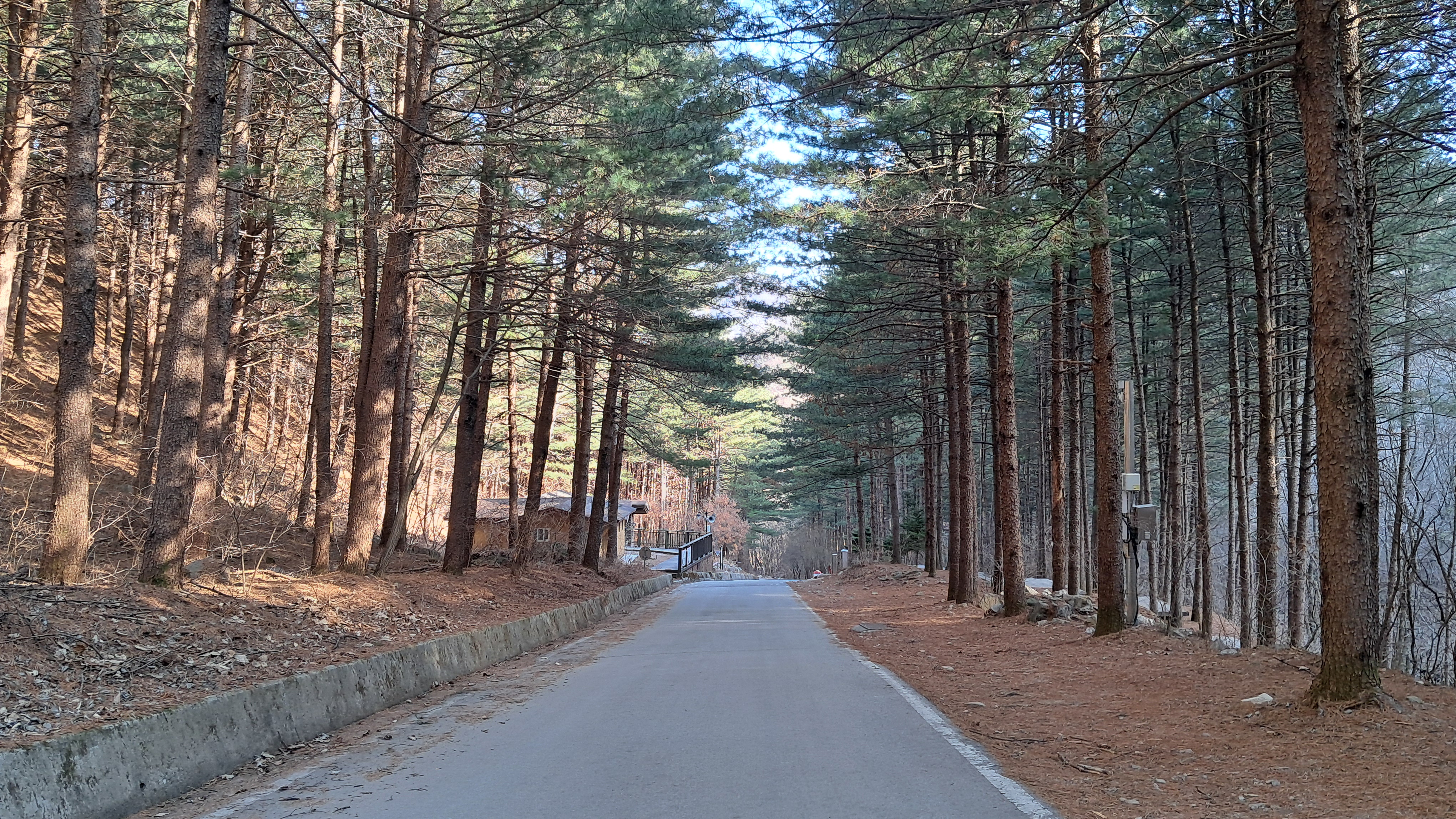 산음자연휴양림