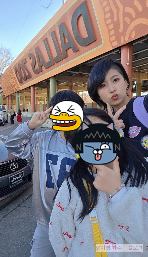 #댈러스시티패스 #달라스시티패스 #텍사스여행